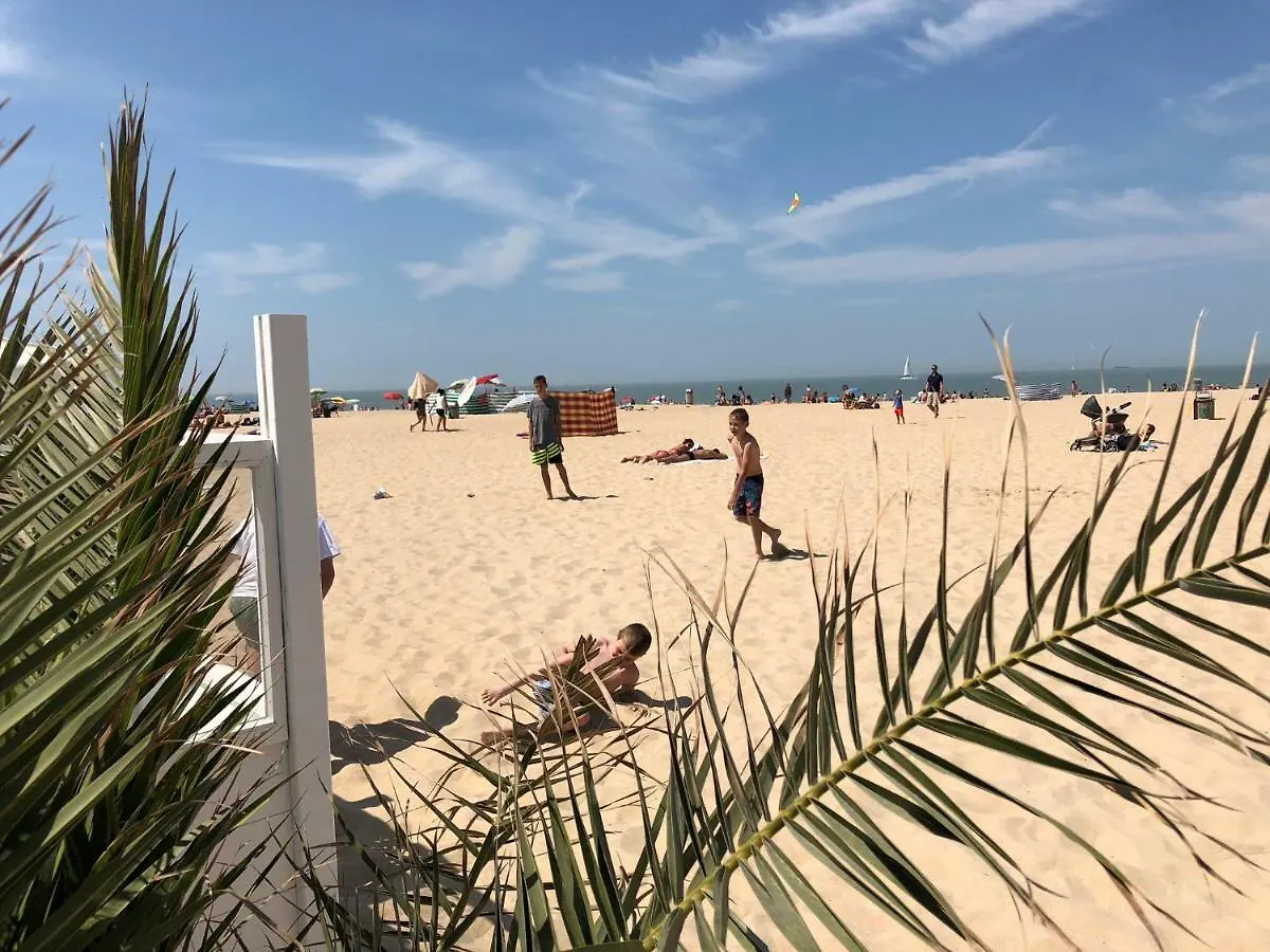 Apartment Panoramic View On Beach, Ships, Sea - Place To Be Ostend Belgium